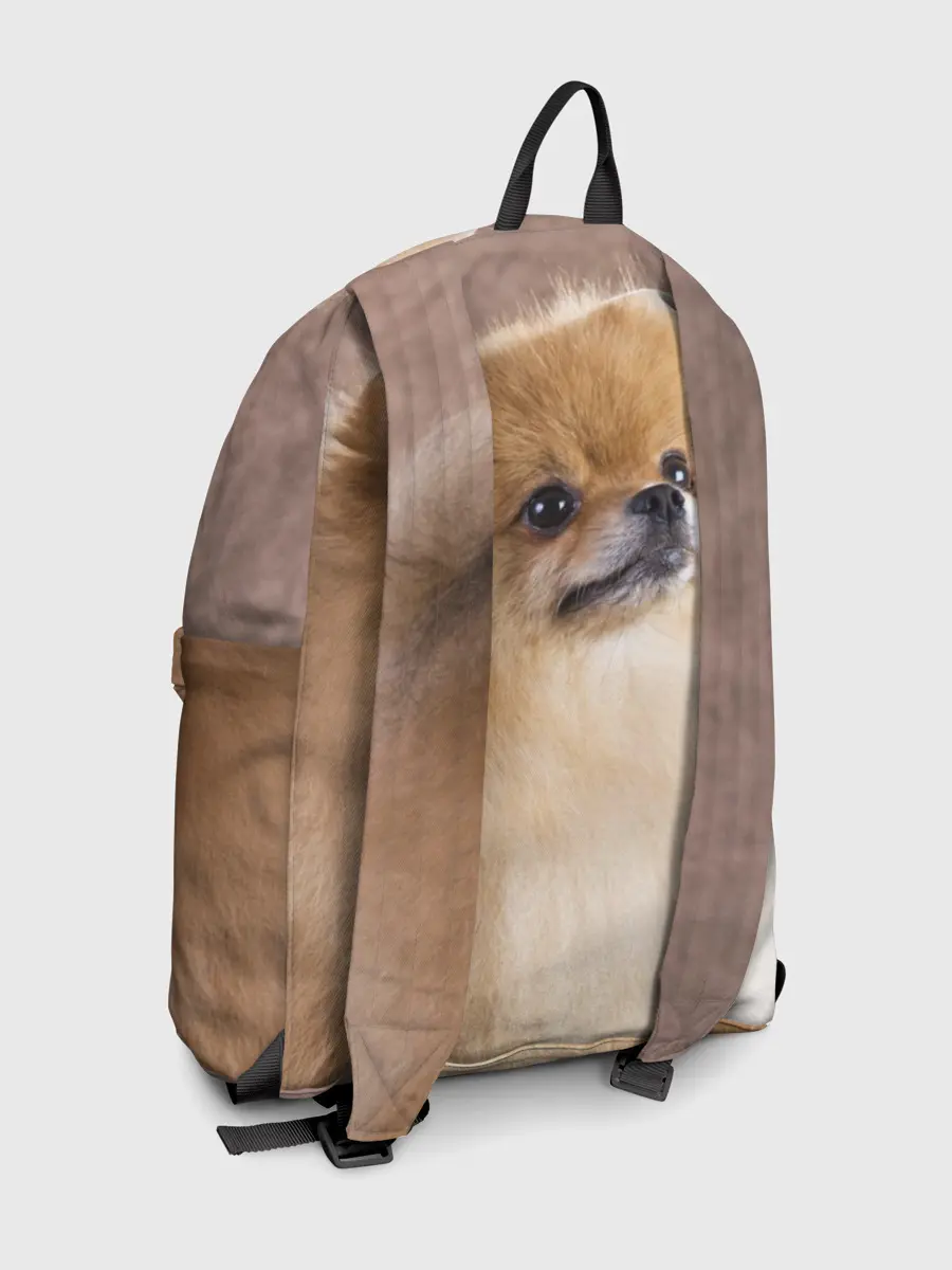 Рюкзак джинсовый / Шпитс