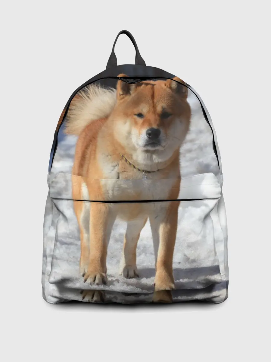 Рюкзак джинсовый / Акита-ину