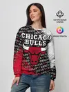 Женский свитшот / CHICAGO BULLS [6]