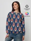 Женский свитшот / Футбольные Мячи
