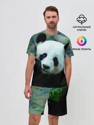Мужской костюм с шортами / Панда