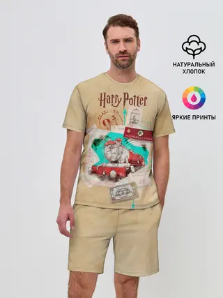 Мужской костюм с шортами / Harry Potter Hogwarts Express