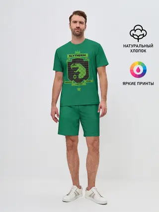 Мужской костюм с шортами / Slytherin