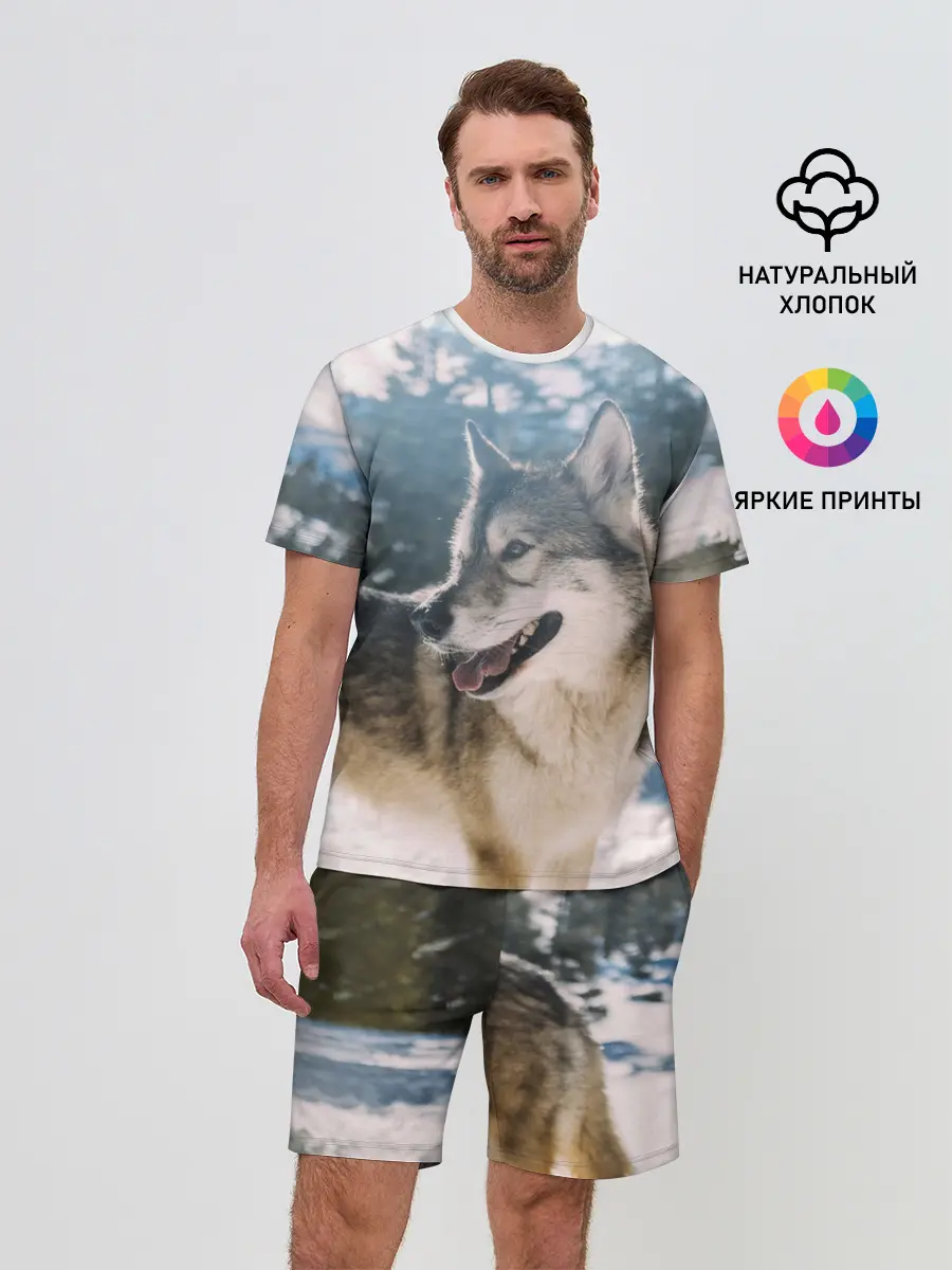 Мужской костюм с шортами / Волк и снег