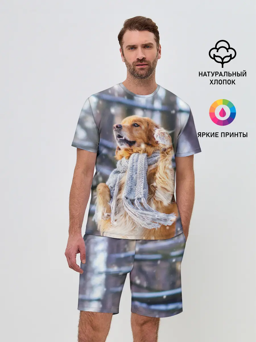 Мужской костюм с шортами / Золотистый Ретривер