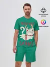 Мужской костюм с шортами / Meow-rry Catmas