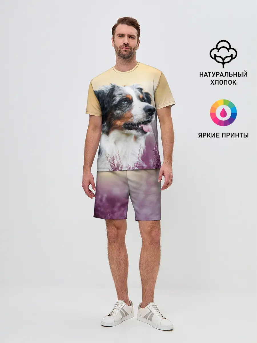 Мужской костюм с шортами / Австралийская Овчарка