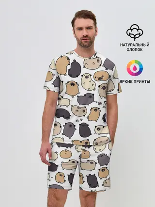 Мужской костюм с шортами / Милые мопсы