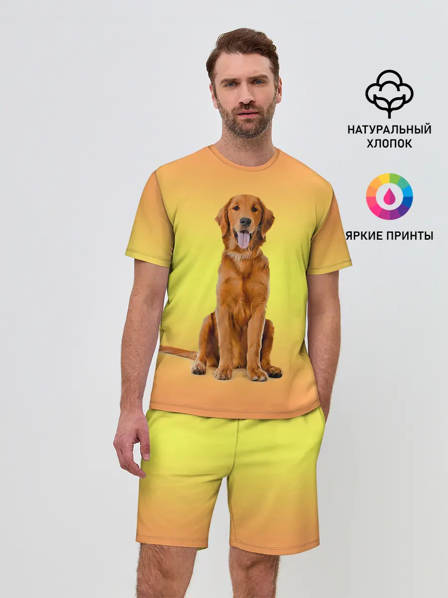 Мужской костюм с шортами / Золотистый ретривер