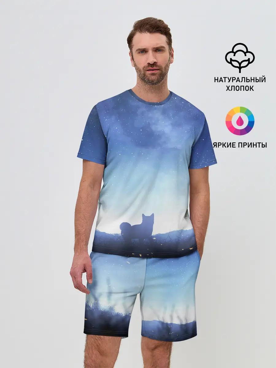 Мужской костюм с шортами / силуэт корги ночь космос дымка