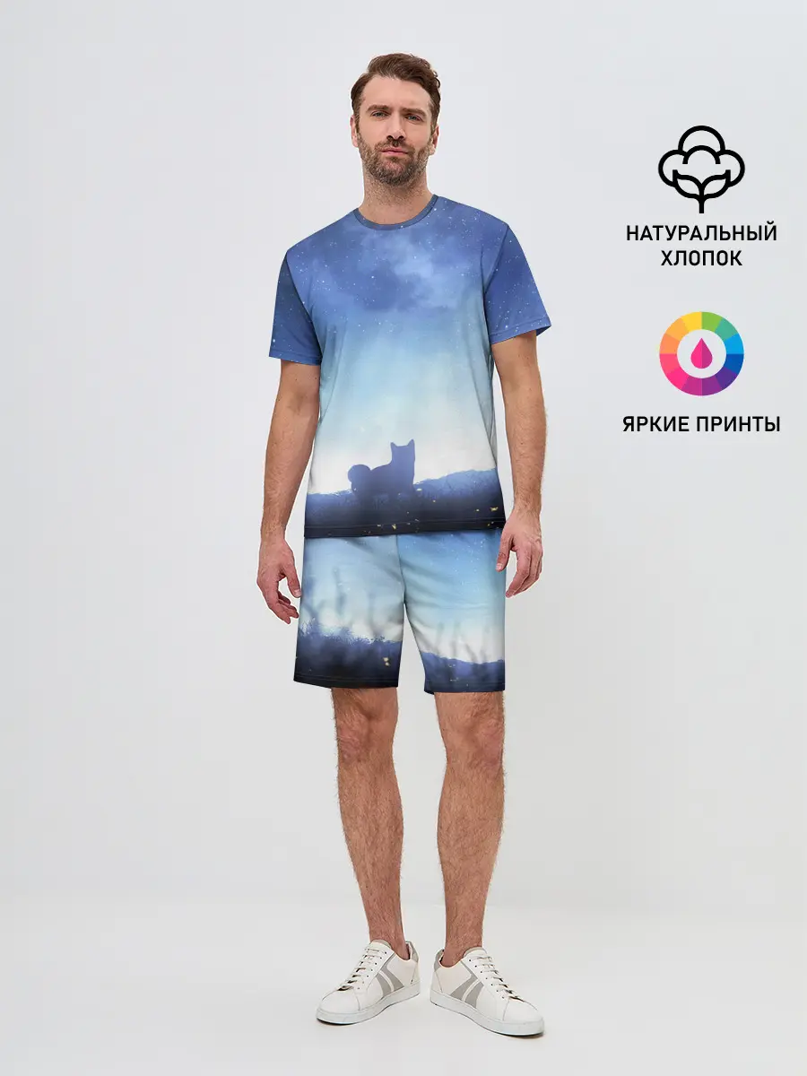 Мужской костюм с шортами / силуэт корги ночь космос дымка