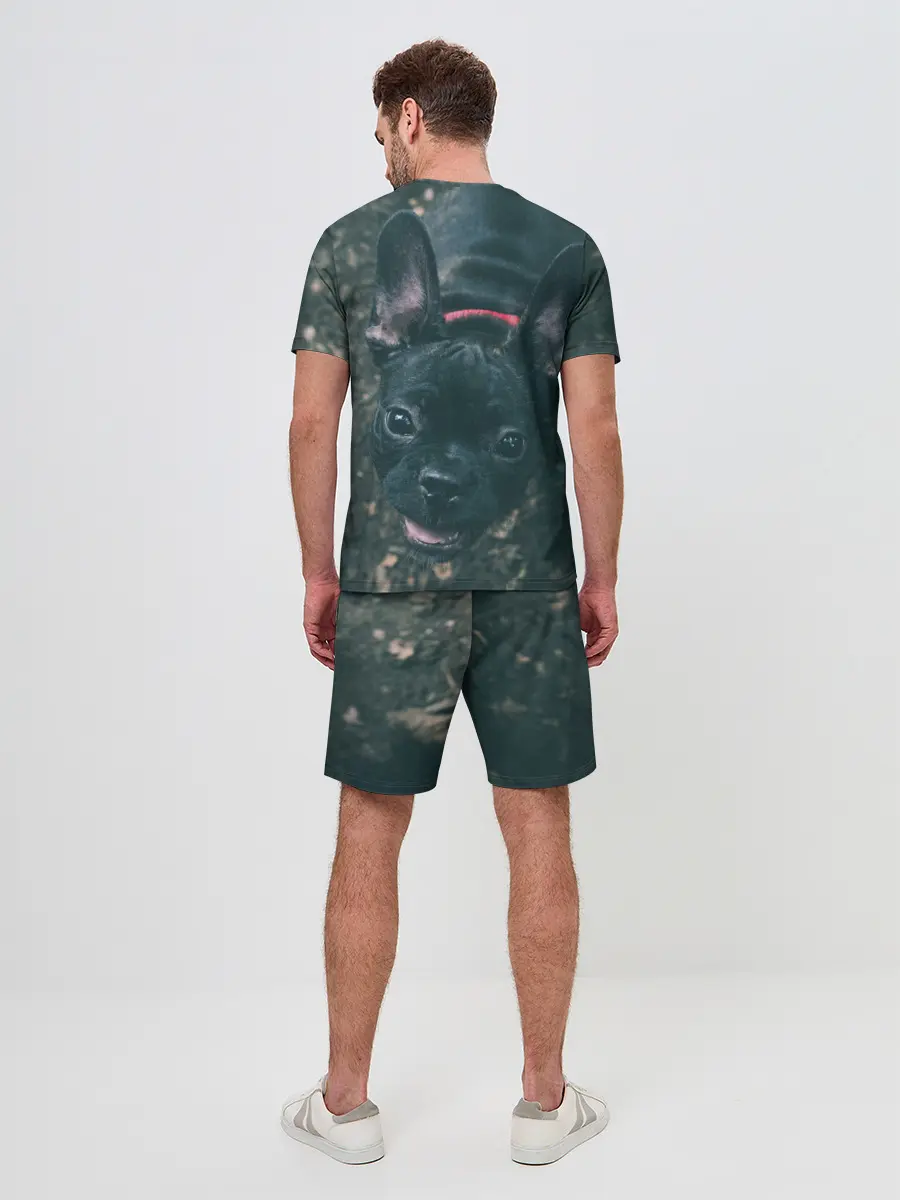 Мужской костюм с шортами / Бульдог морда собакена черного