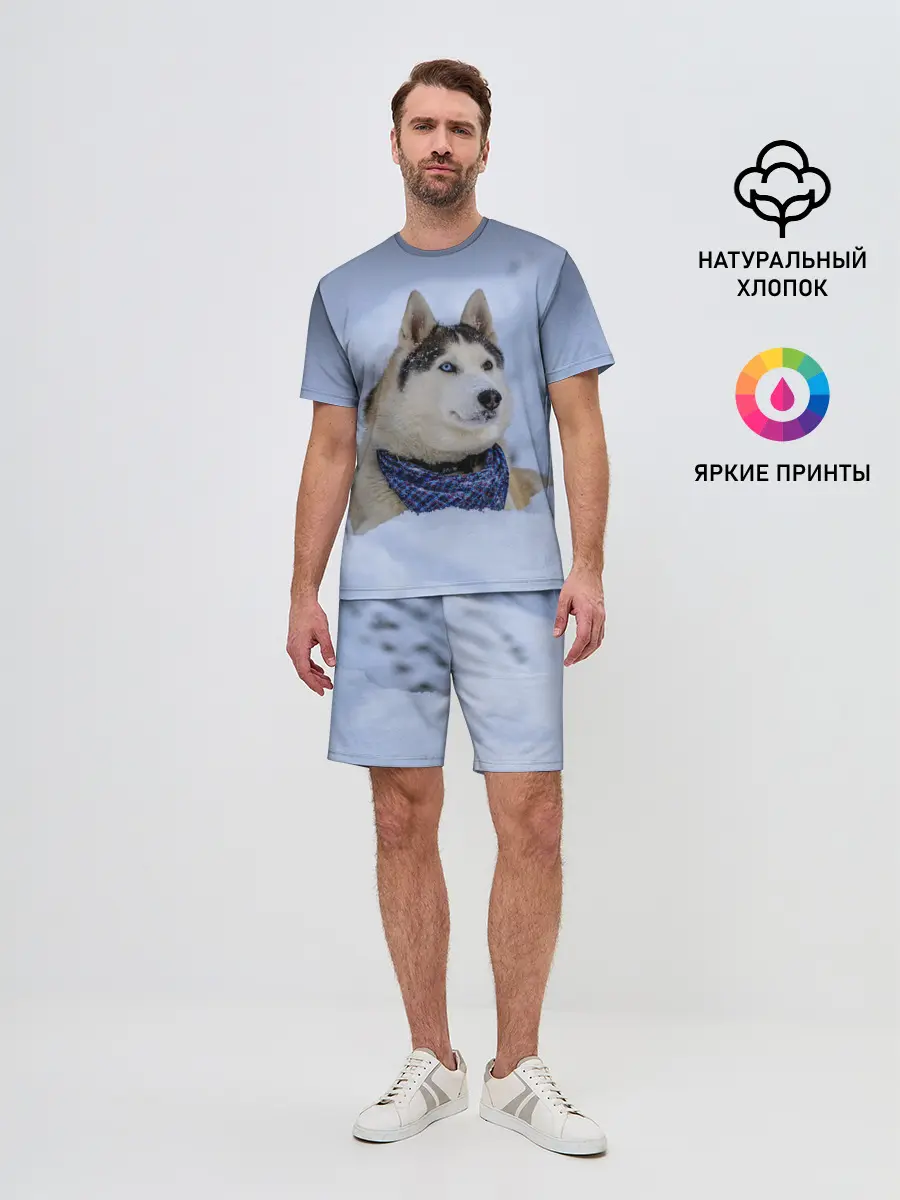 Мужской костюм с шортами / Хаски