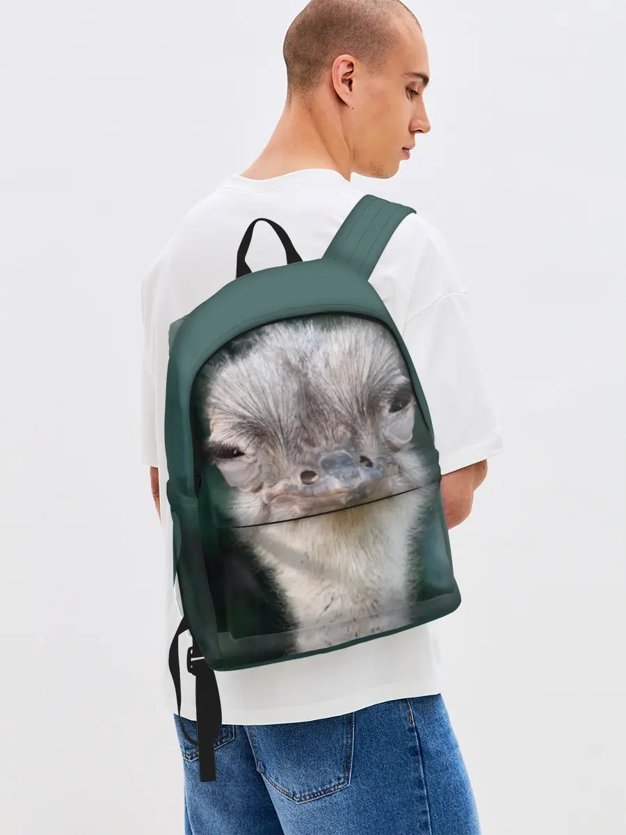 Рюкзак джинсовый / Подозрительный страус