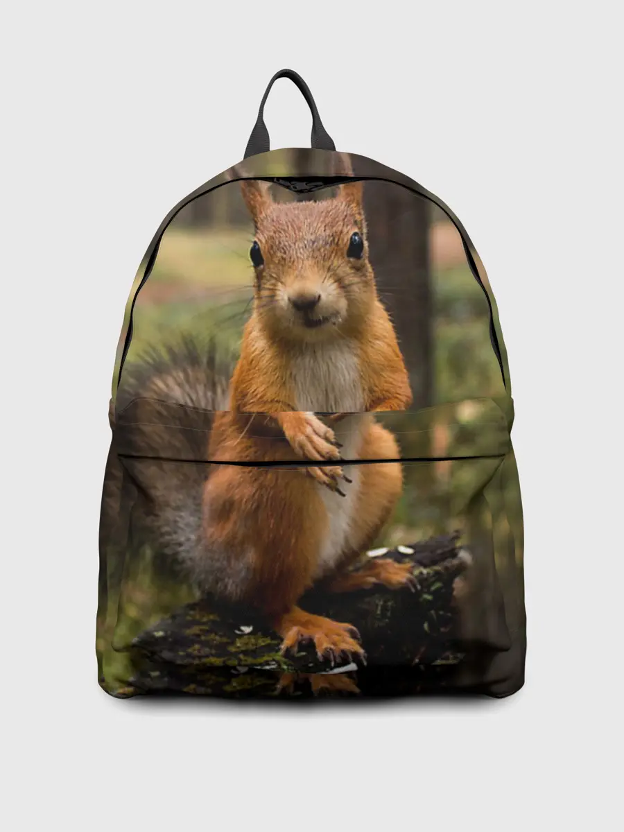 Рюкзак джинсовый / Белочка