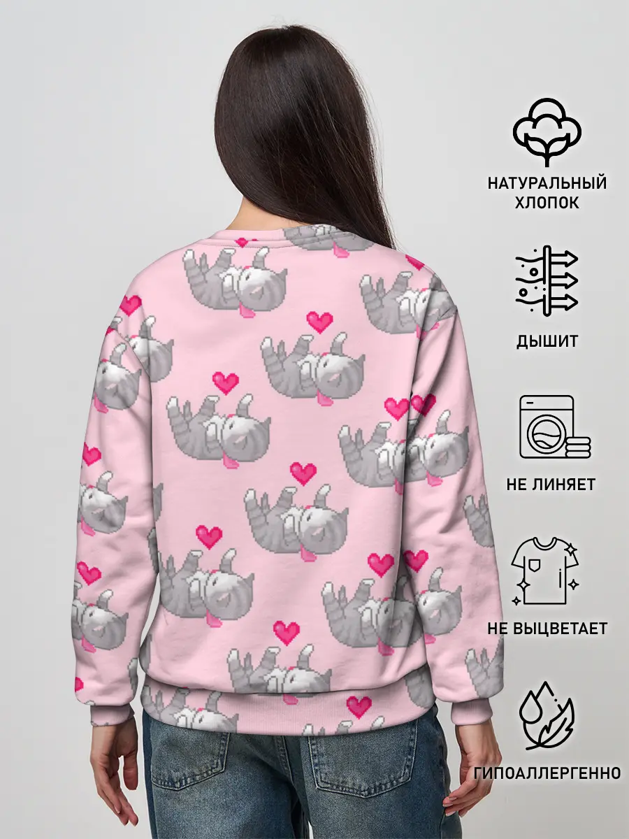 Женский свитшот / Пиксельные котики