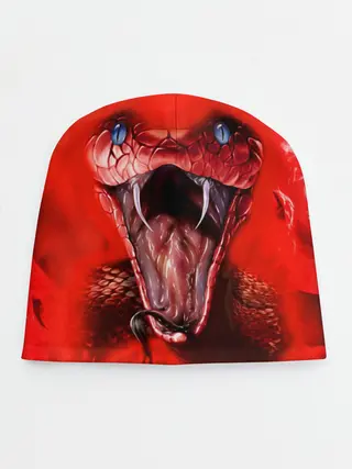 Детская шапка / Red Snake