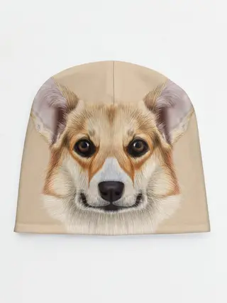 Детская шапка / Pembroke