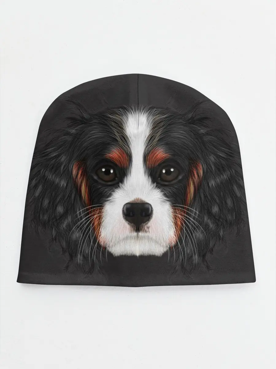 Детская шапка / Cavalier King Charles