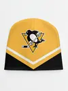 Детская шапка / Pittsburgh Penguins