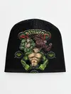 Детская шапка / Battletoads