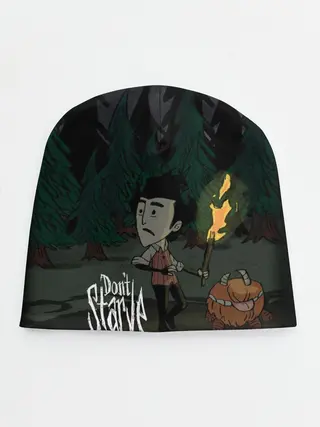 Детская шапка / DONT STARVE