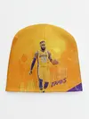 Детская шапка / Lebron