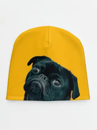 Детская шапка / Бульдожка