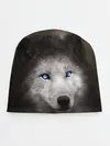 Детская шапка / Голубоглазый волк