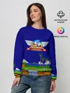 Женский свитшот / Sonic.