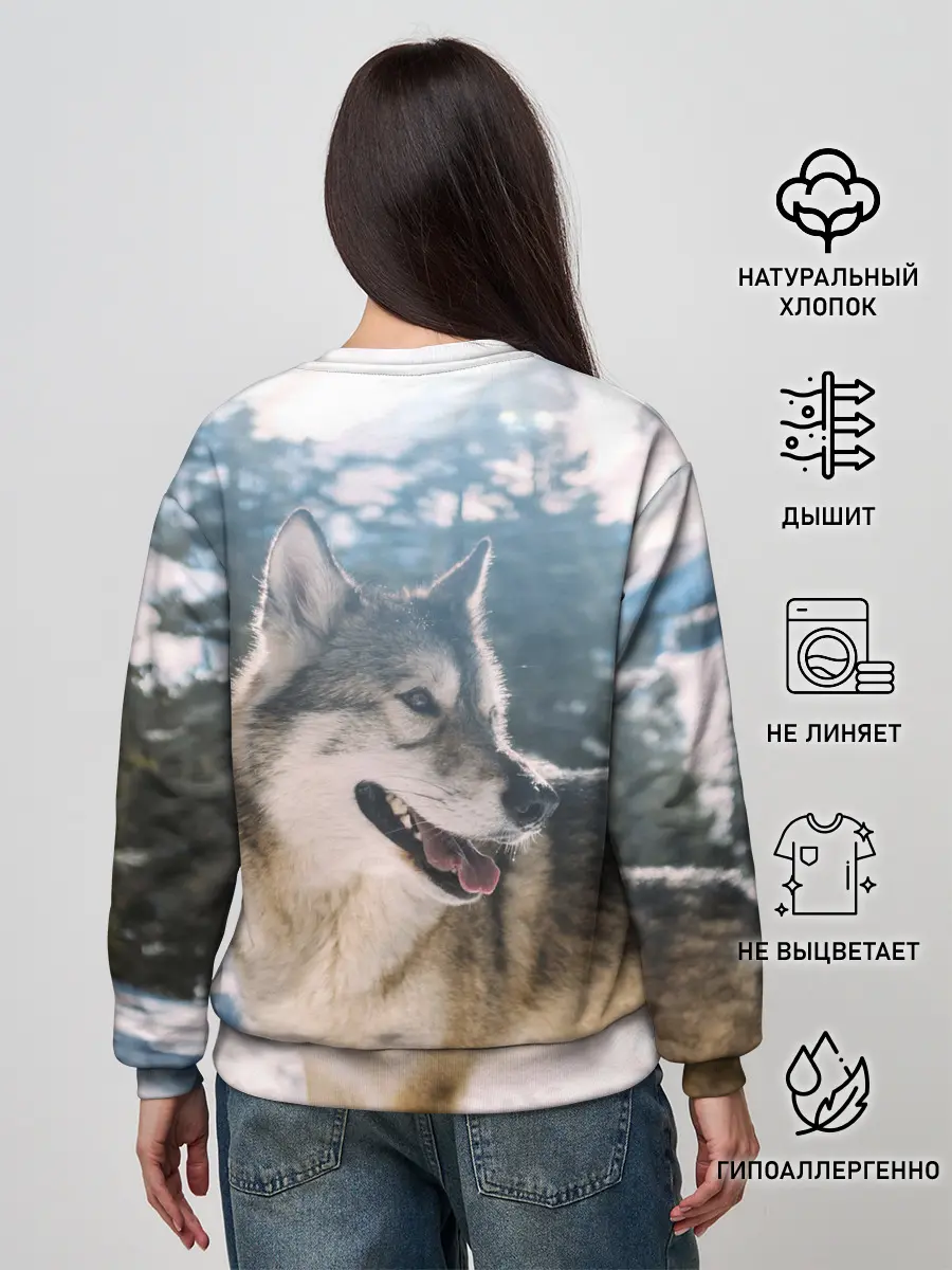 Женский свитшот / Волк и снег