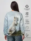 Женский свитшот / Лошадь