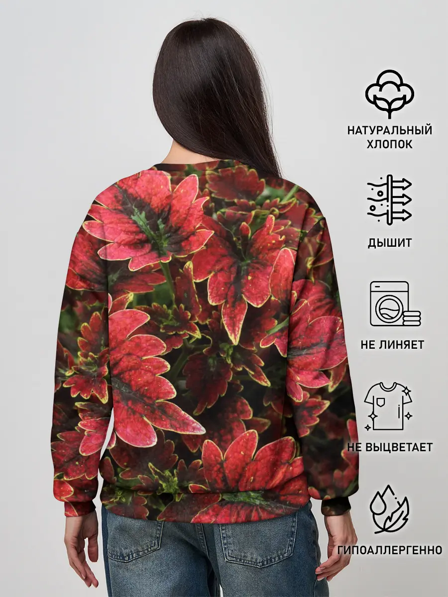 Женский свитшот / Красные листья