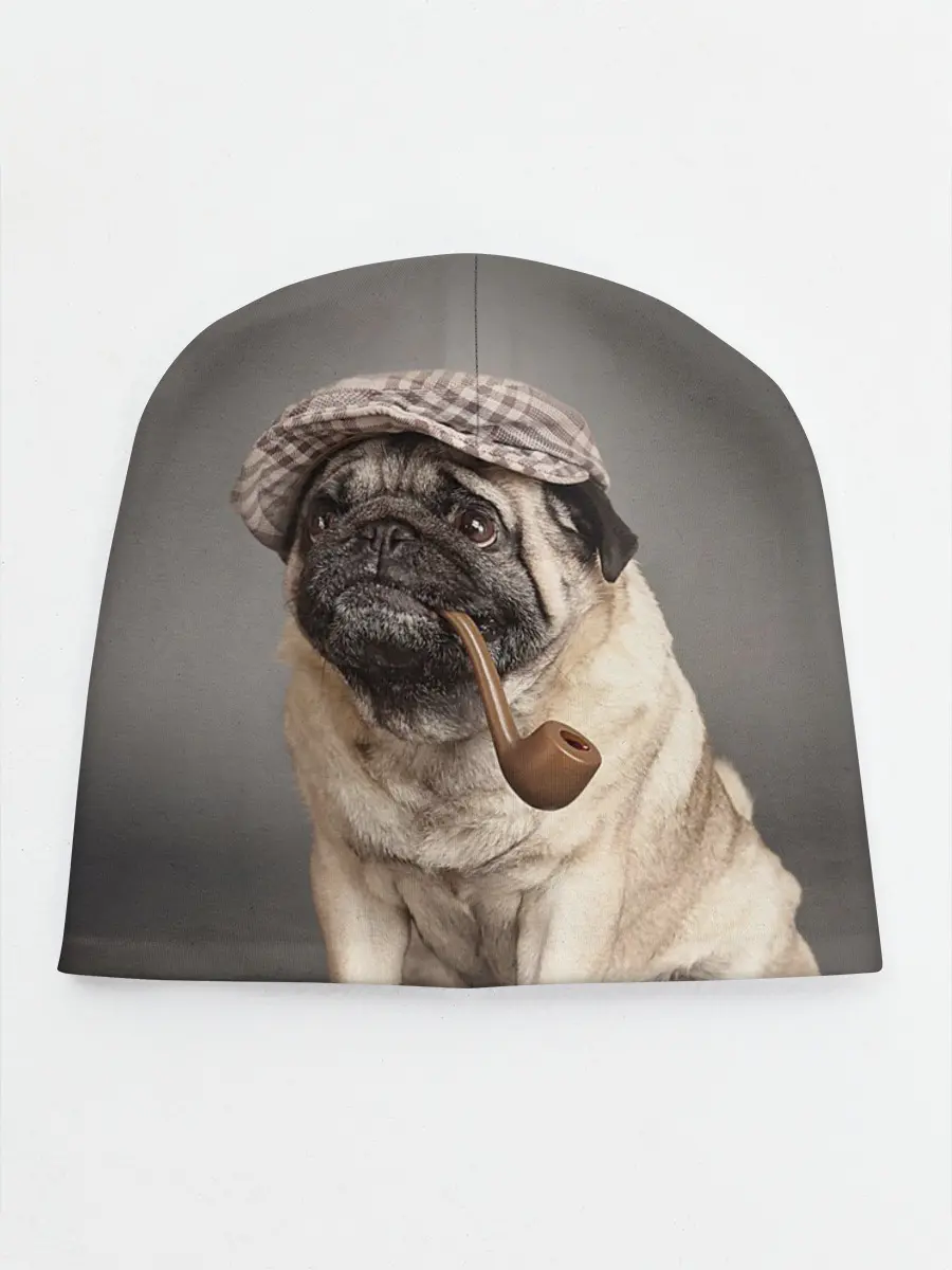 Детская шапка / Мопс в кепке