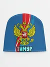 Детская шапка / Герб Тимур