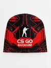 Детская шапка / Counter Strike-Василий