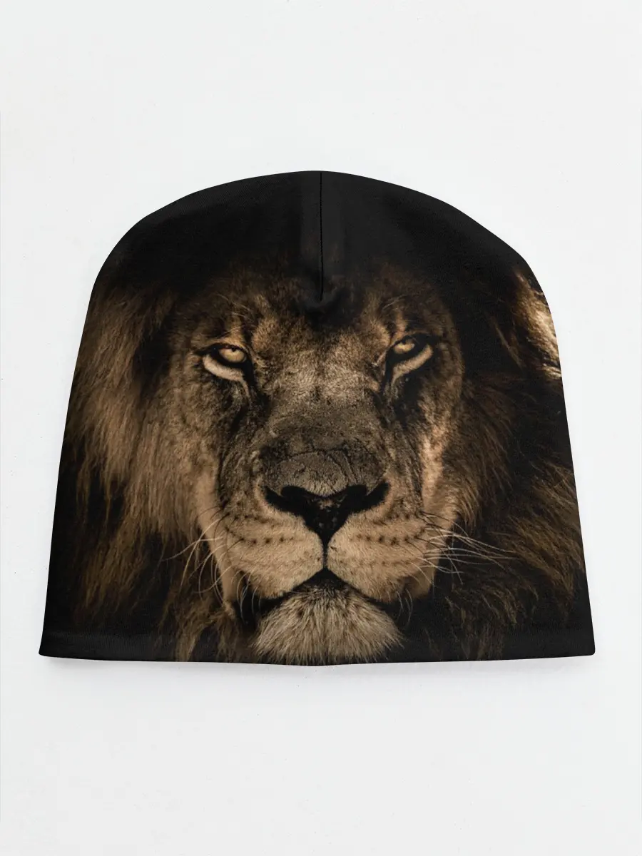 Детская шапка / Лев