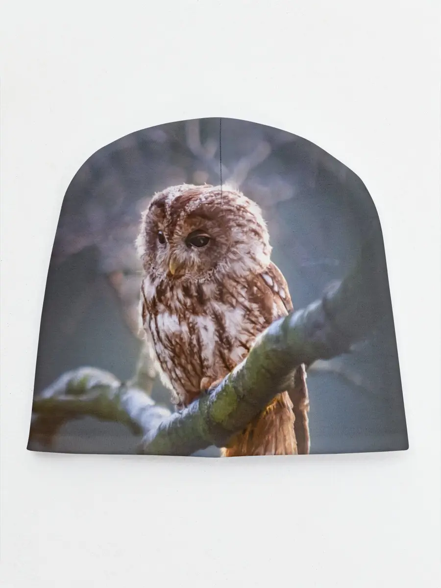 Детская шапка / Сова