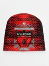 Детская шапка / Liverpool sport uniform