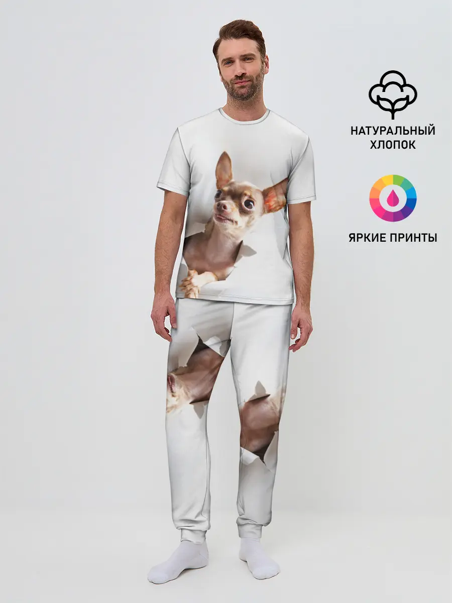 Мужская пижама с брюками / Чихуахуа из бумаги вылазит