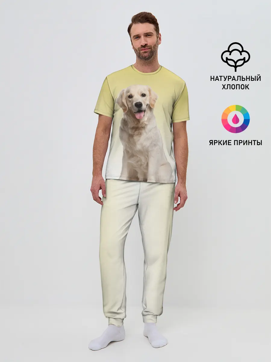 Мужская пижама с брюками / Лабрадор ретривер пес