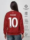 Женский свитшот / Mane home 20-21