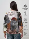 Женский свитшот / КОТЯТКИ