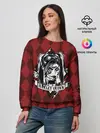Женский свитшот / Harley Quinn