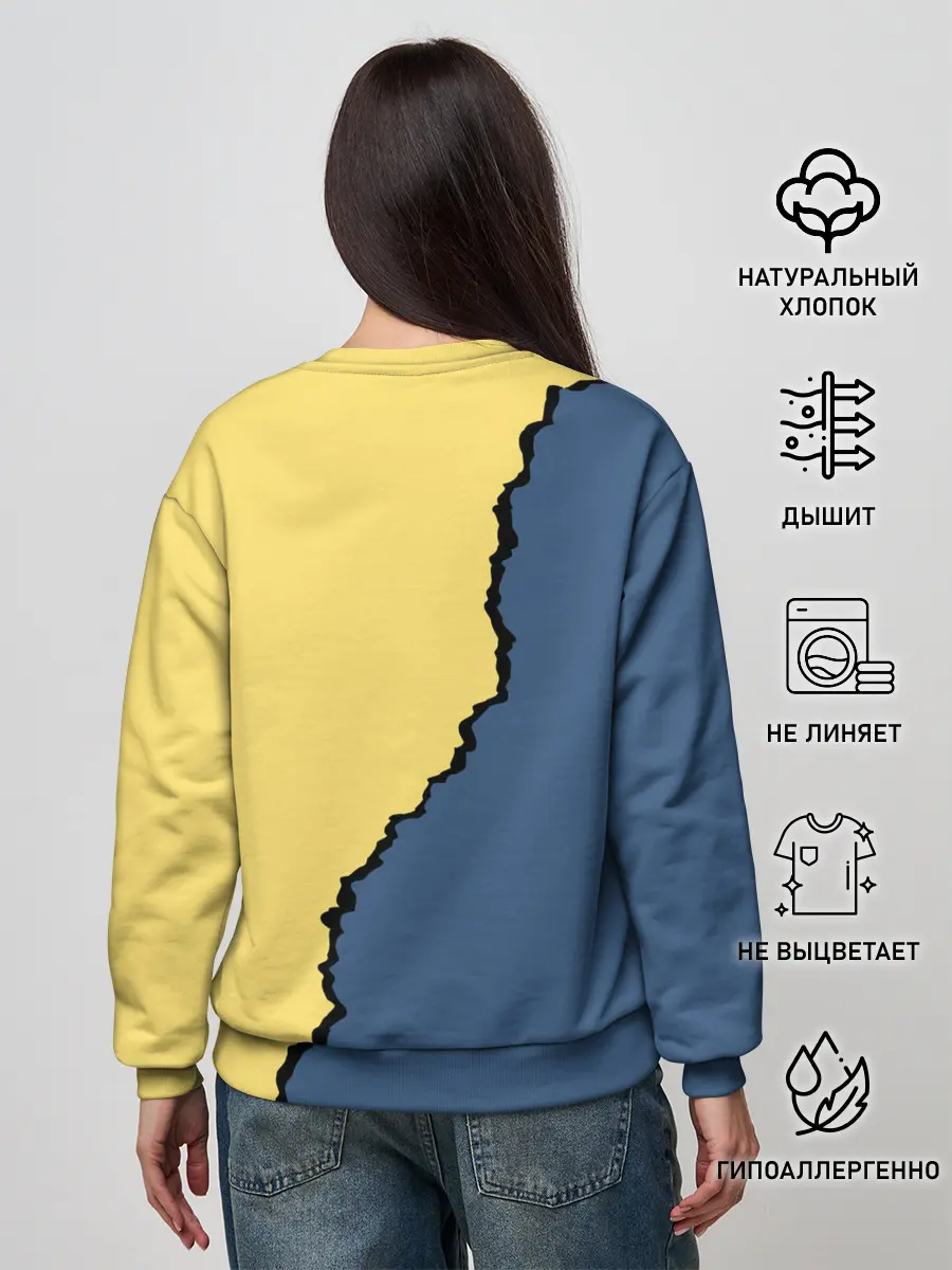 Женский свитшот / Fallout logo boy