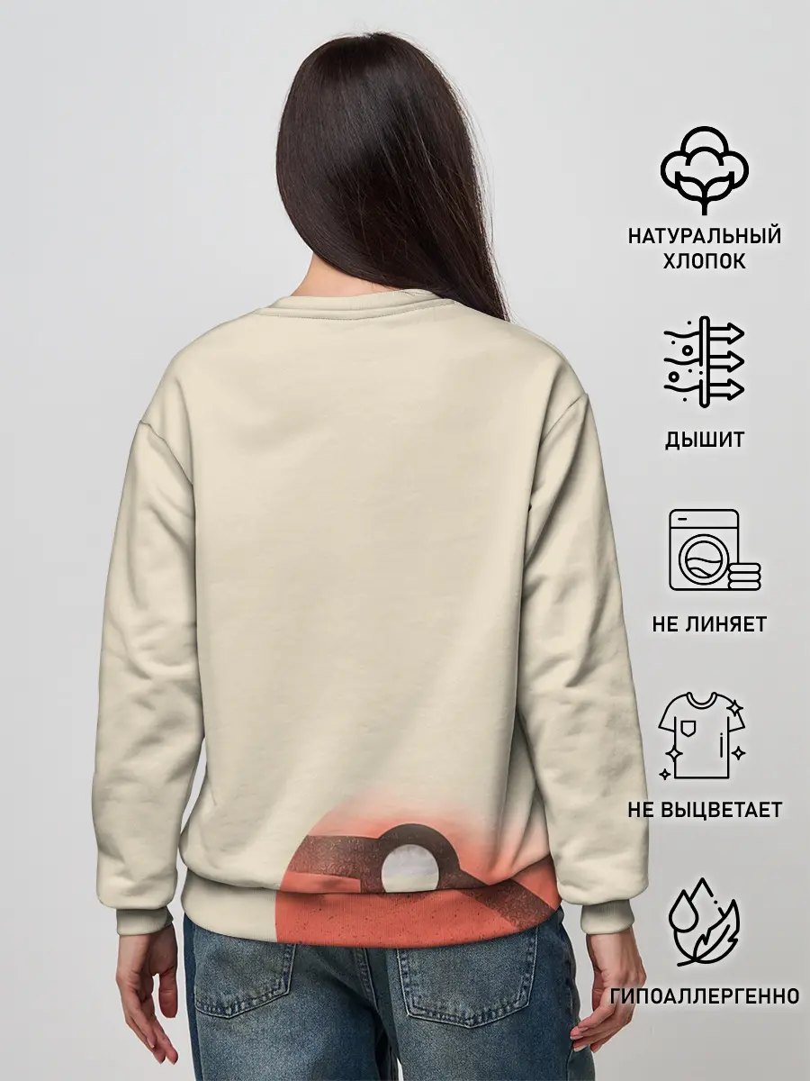 Женский свитшот / Чаризард и покебол