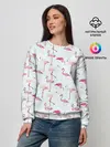 Женский свитшот / Фламинго