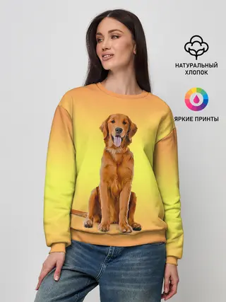 Женский свитшот / Золотистый ретривер