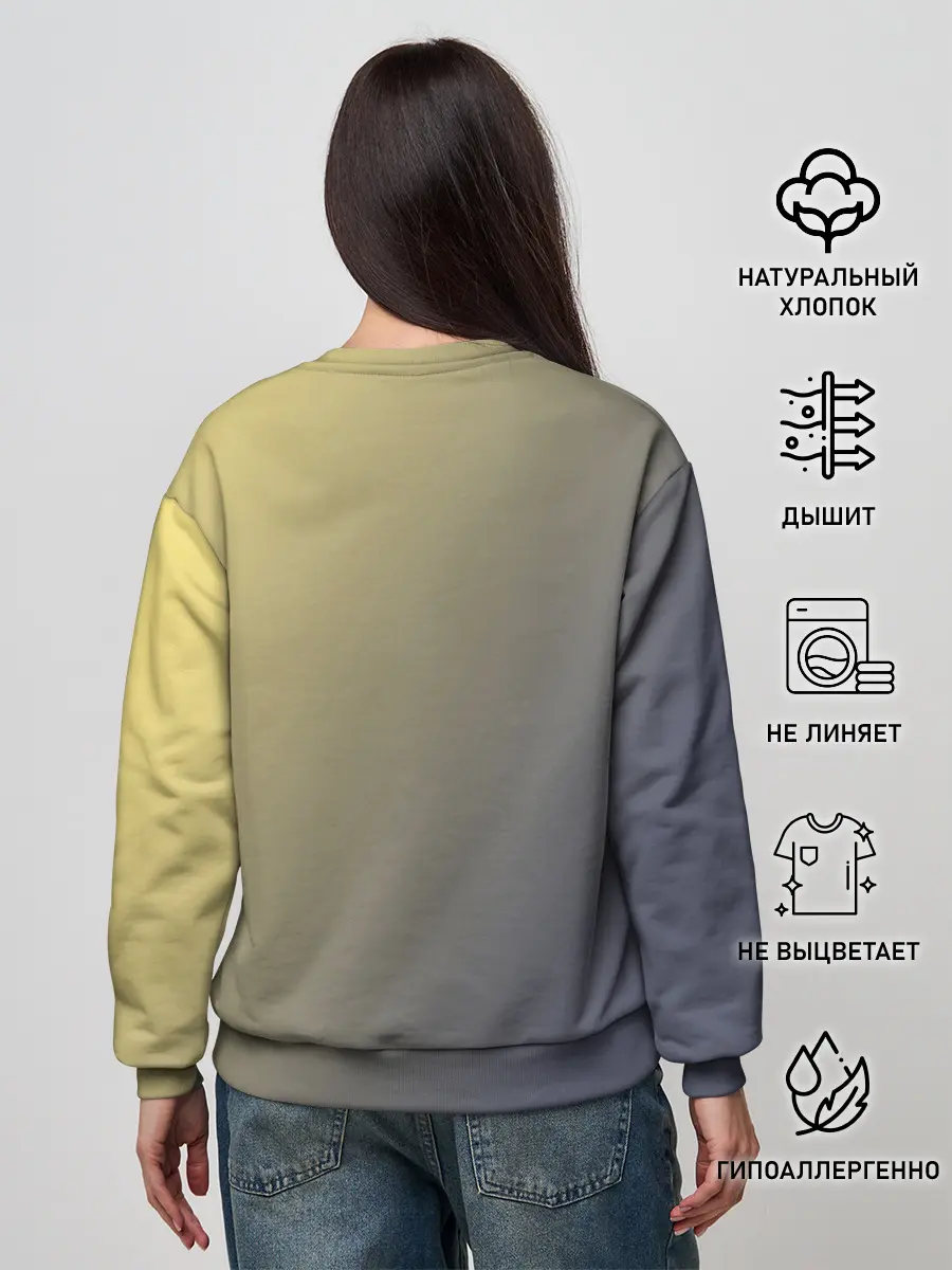 Женский свитшот / Heroes of Might and Magic