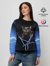Женский свитшот / Грозовой кошак